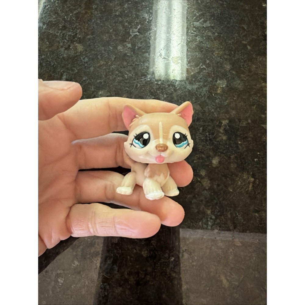 Lps Tan Husky Dog Teal/Blue Eyes  #1012 Authentic Littlest Pet Shop